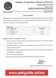 University of Agriculture Swat Jobs 2025 – Apply for Government Management Posts in KPK